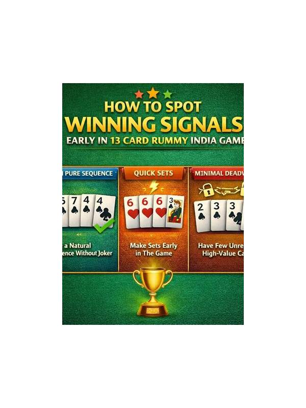 A Practical Guide to Rummy Fairness Signals and Randomness