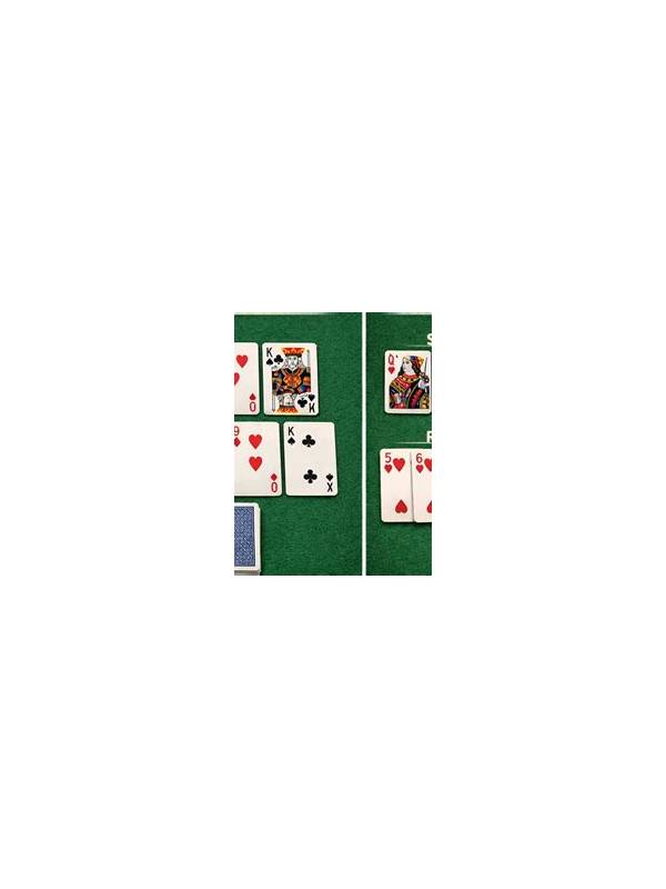 Rummy Comparison: Learn From Errors or Outcomes?