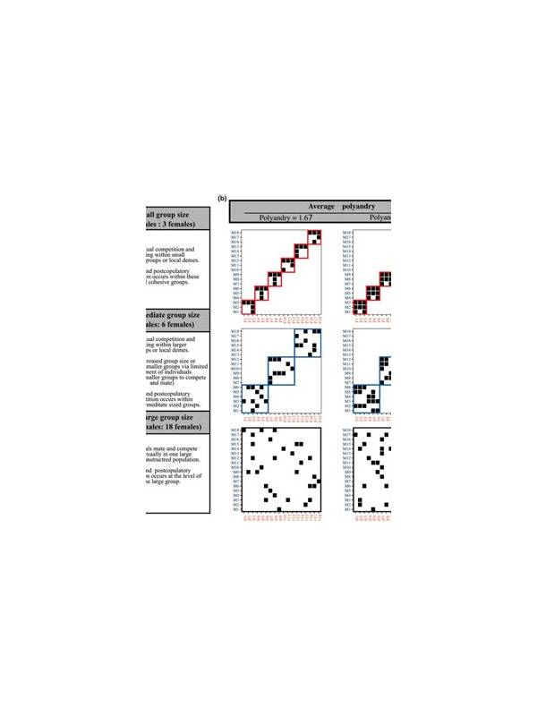 Rummy Comparison: One Large Group Versus Two Small Groups