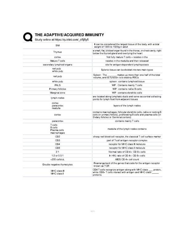 Rummy Comparison: Static Hand Notes Versus Adaptive Notes