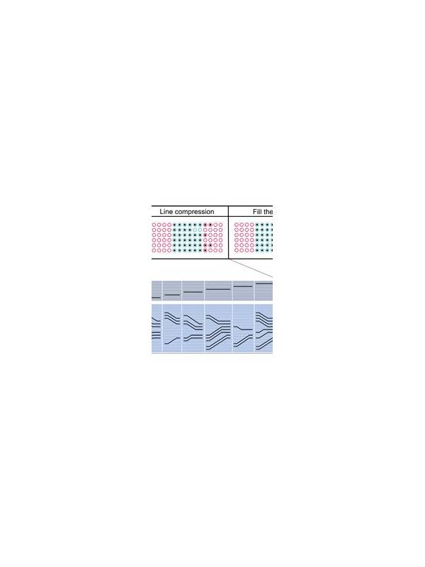 Rummy Comparison: Visible Order Versus Fast Rearrangement