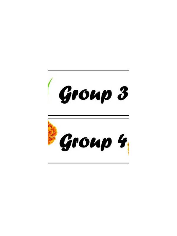 Rummy Comparison: Visual Groups Versus Written Group Labels
