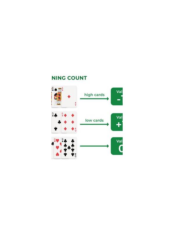 Rummy Guide: Count Information Before Counting Cards