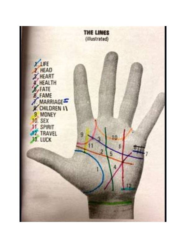 Rummy Guide: Read the Table Before Reading Your Hand