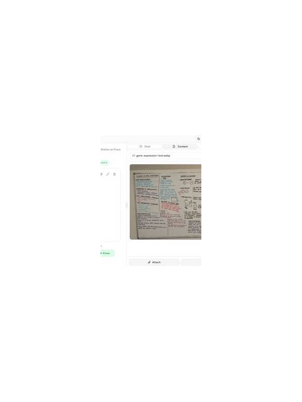 Rummy Practice Review: Turn Notes Into One Useful Lesson