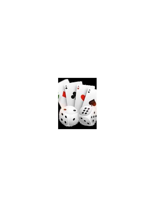 Rummy Plan Language: Describe